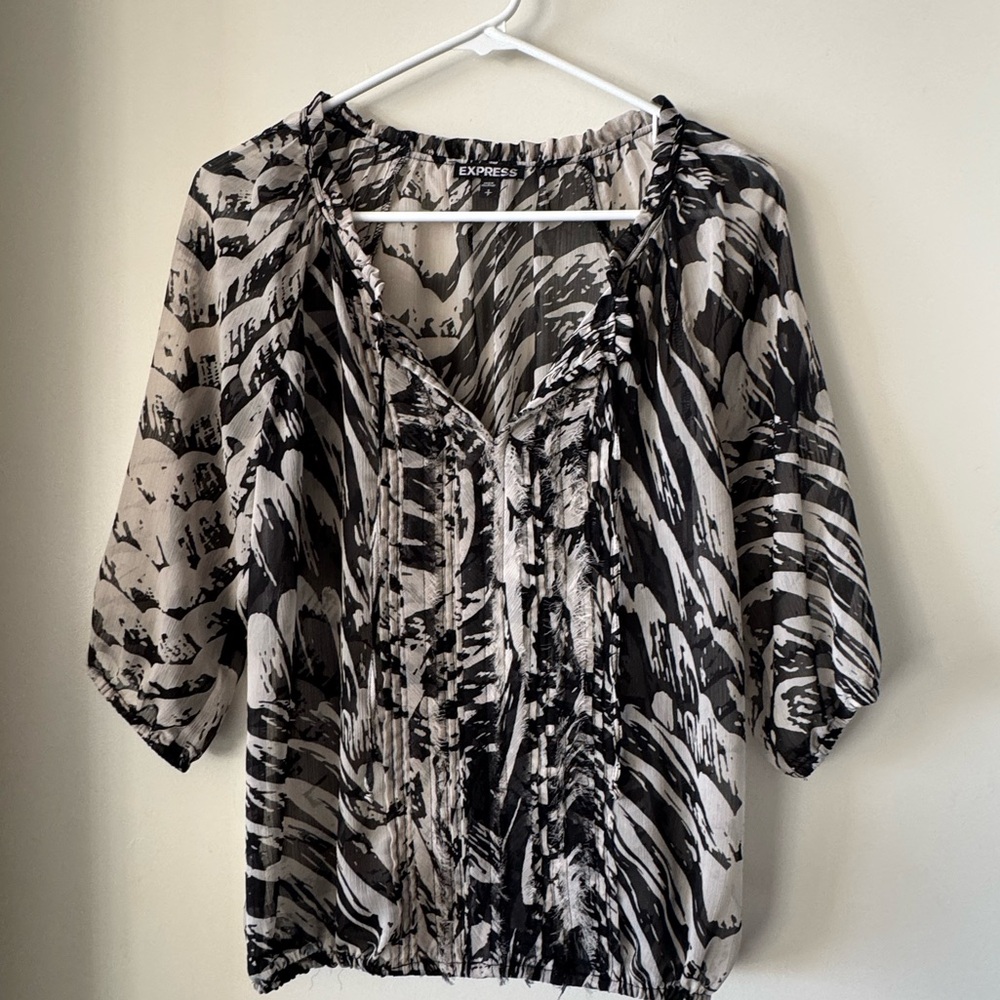 Express Semi-Sheer V-Neck Top